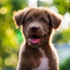 Meet your Posher, Larissa